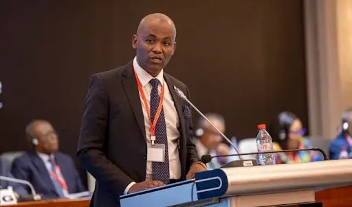 OMS : Le Tanzanien Faustine Englebert Ndugulile, élu directeur de la région Afrique