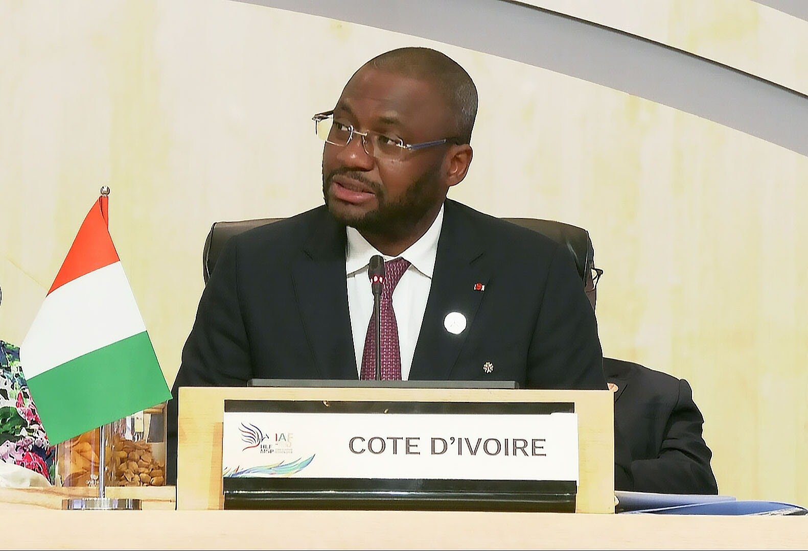 Forum Indonésie-Afrique : Sidi Touré salue une coopération sud-sud basée sur des stratégies définies de part et d’autre