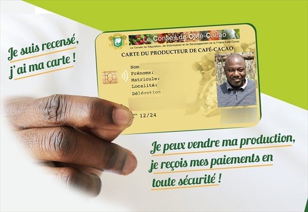 Café-cacao : Le Conseil café-cacao (CCC) offre une prise en charge complète de la CMU aux producteurs détenteurs de la carte de membres !