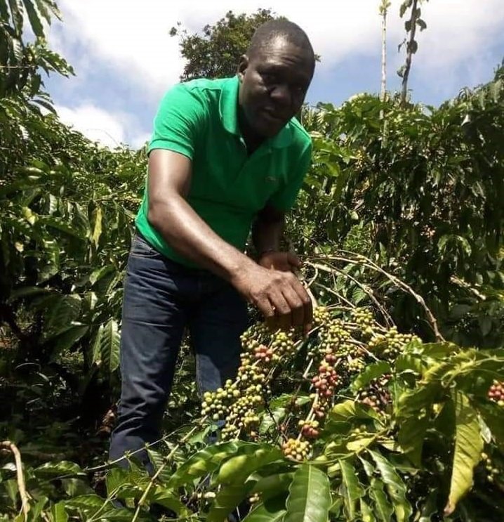 District des Montagnes : Les producteurs de la filière café-cacao expriment leur reconnaissance au Président Ouattara après la fixation des prix de la campagne 2024-2025