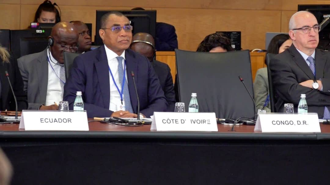 Assemblées annuelles du FMI et de la Banque mondiale : Adama Coulibaly plaide pour plus de financement de l’action climatique en Afrique