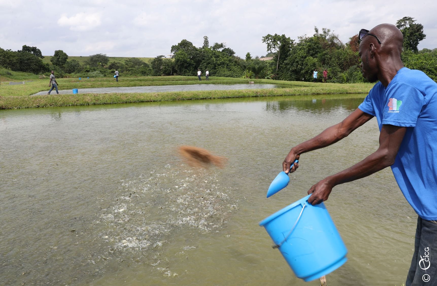 Sécurité alimentaire : Le gouvernement fournit des efforts pour augmenter la production de viande et de poisson