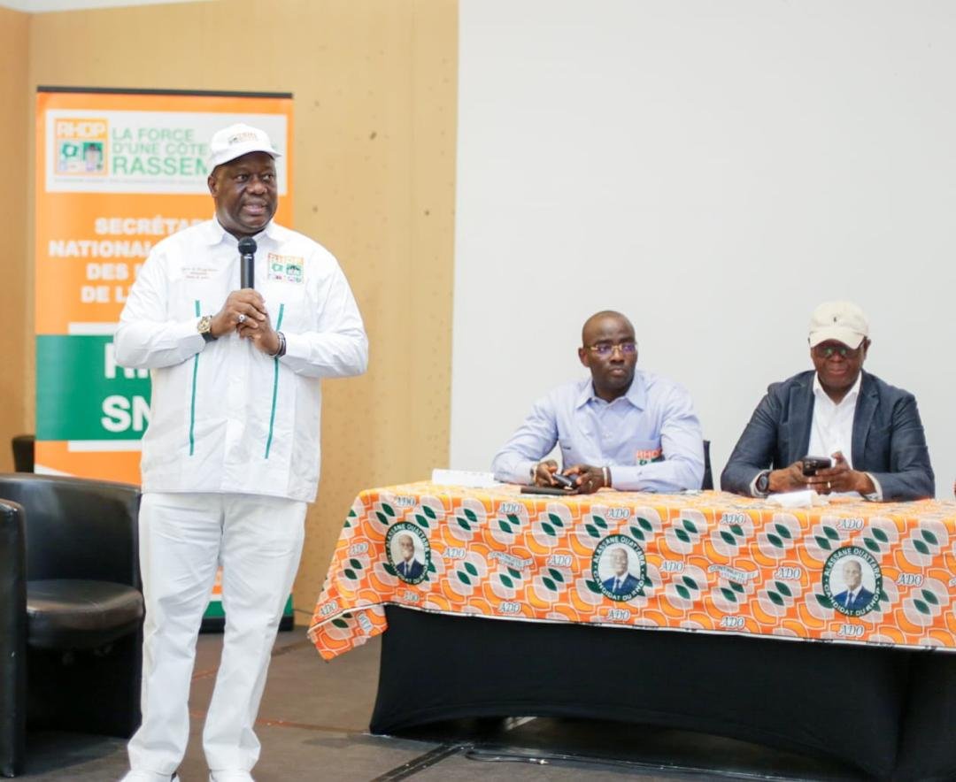 RHDP : OD imprime sa marque à la diaspora