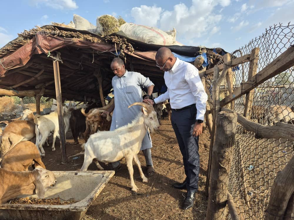 Renforcement de l'Approvisionnement en bétail : Le ministre Sidi Touré en mission stratégique au Tchad