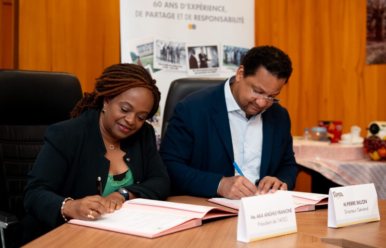 Violences basées sur le Genre : Le Groupe SIFCA et l’AFJCI unissent leurs idées pour lutter efficacement contre le fléau