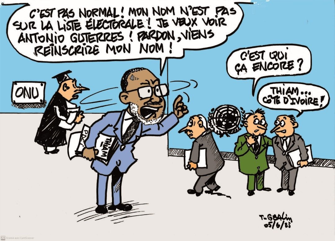 Présidentielle 2025 : Thiam, la grosse désillusion !