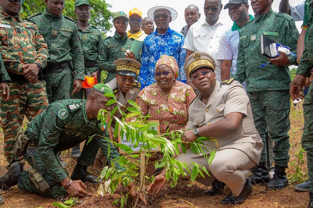 Forêt classée de Kabako (Séguéla) : Le Conseil du Coton et de l’Anacarde s’enracine dans l’action climatique