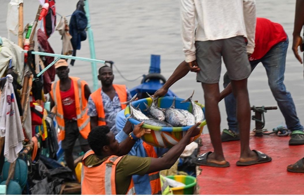 Pêche artisanale maritime : Une production de 17 000 tonnes enregistrées après un mois de fermeture