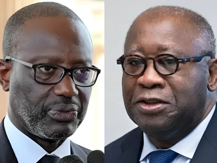 Politique nationale : Quand le PDCI et le PPA-CI étalent leurs divergences