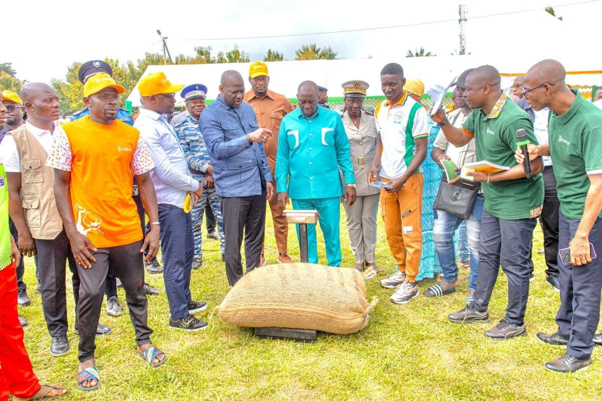 Stocks résiduels de noix de cajou détenus par les producteurs : Le gouvernement lance une vaste campagne d’enlèvement