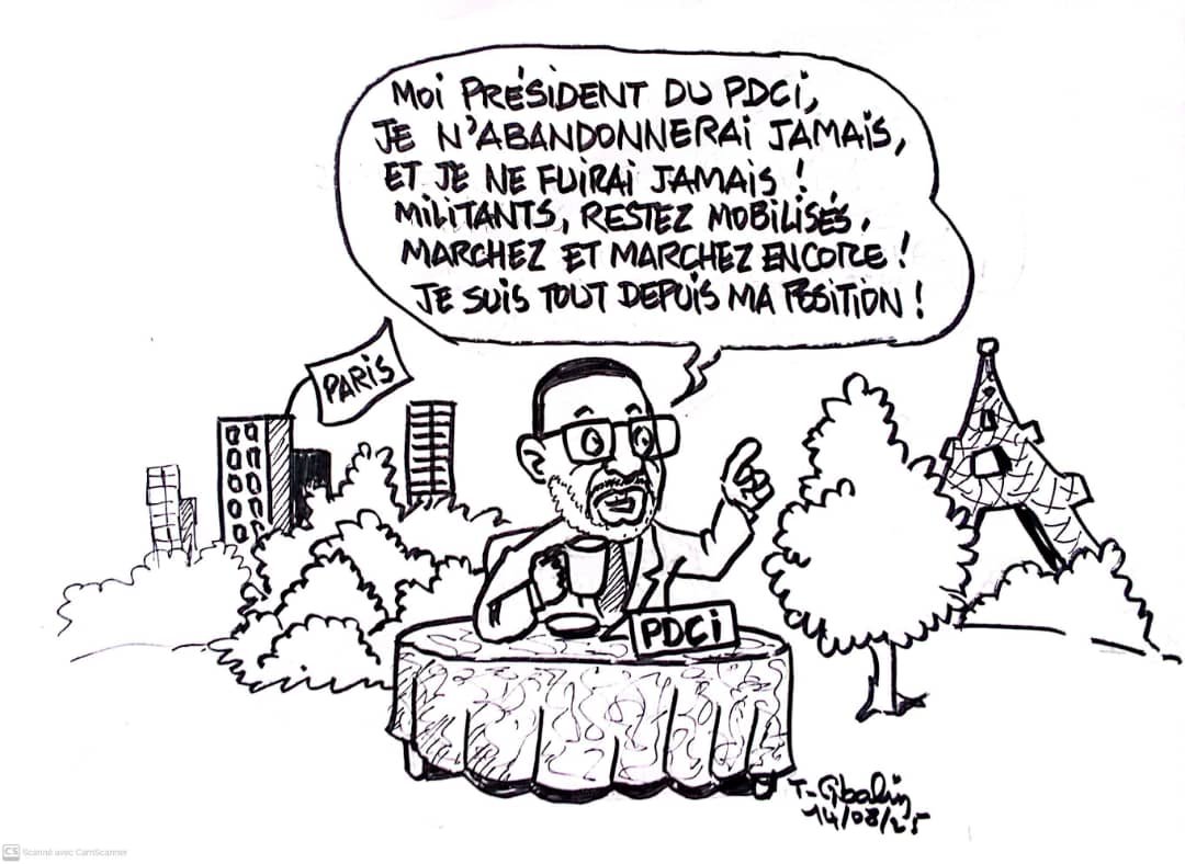 PDCI-RDA : La télé-gouvernance du parti par Thiam