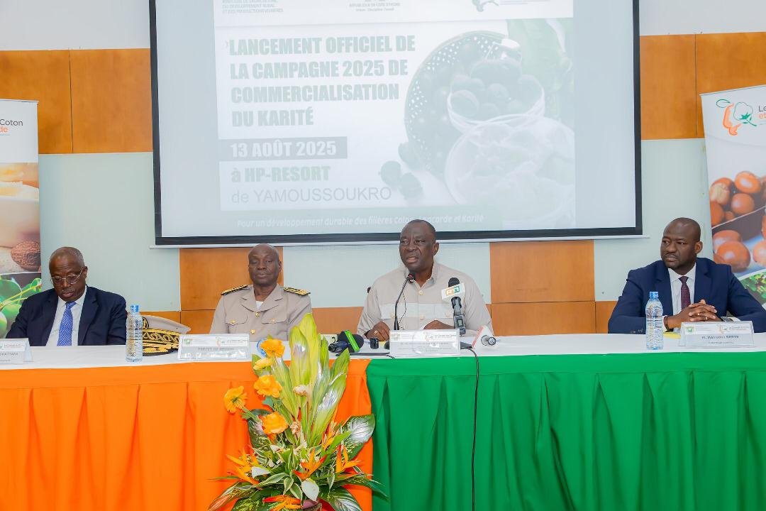 Filière karité : Le prix minimum du kilo d’amande bord champ fixé à 250 FCFA