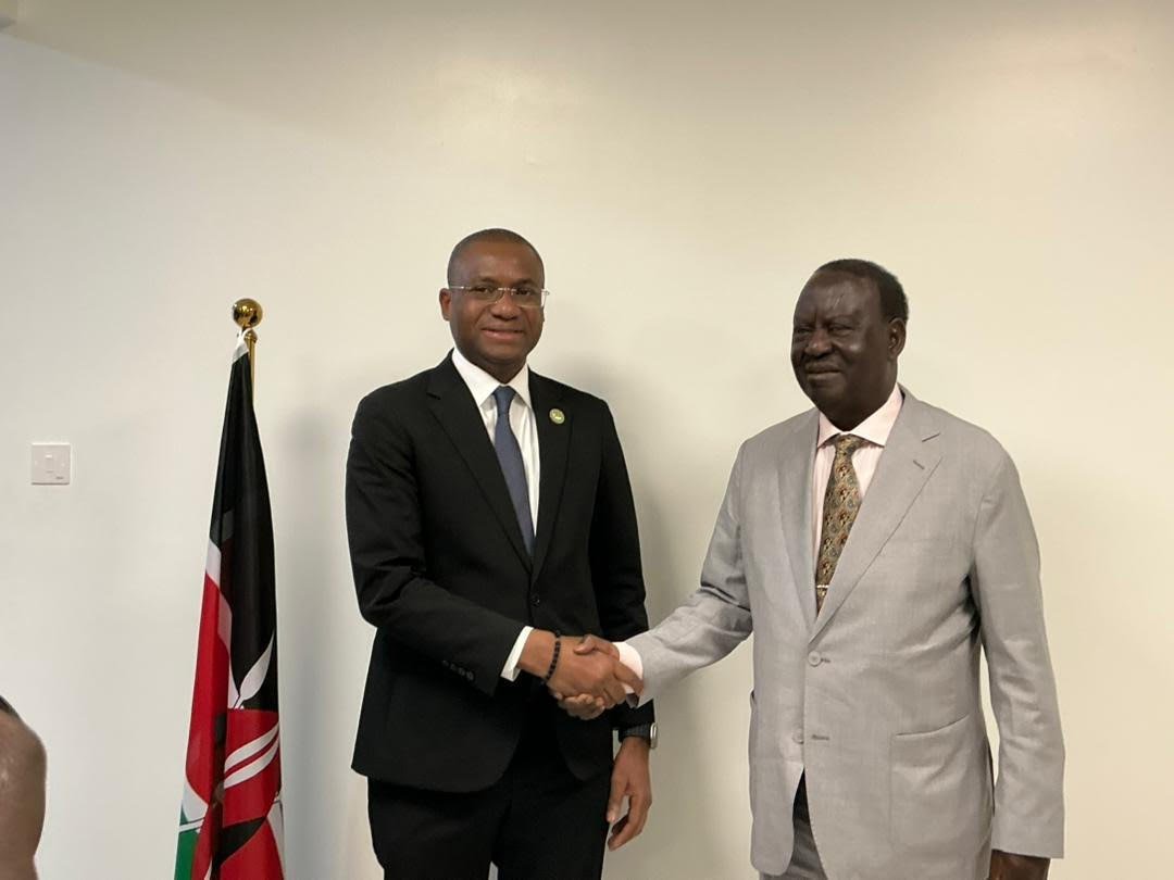 Renforcement des liens avec les partenaires libéraux africains : Sidi Touré au Kenya et en Afrique du Sud