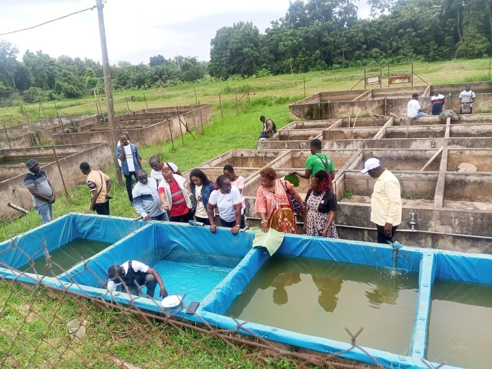 Bouaké : 35 producteurs d'alevins formés sur les techniques de production