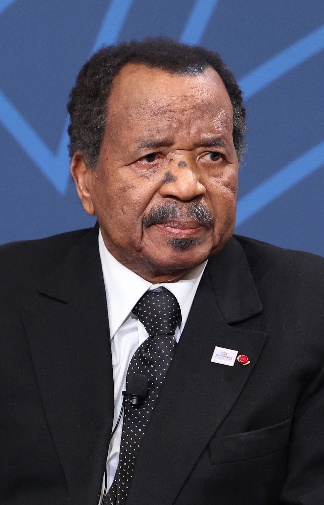 Cameroun : Paul Biya déclaré vainqueur de la présidentielle par le Conseil constitutionnel