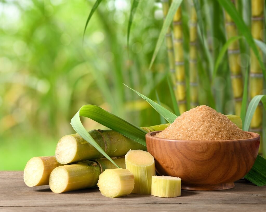 Campagne sucrière : Une production cumulée de 1200 tonnes annoncée