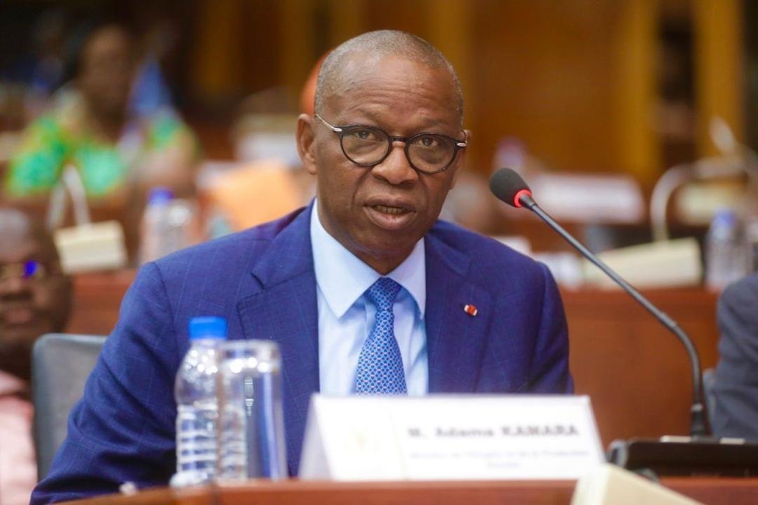 Ministère de l’Emploi et de la Protection Sociale : Le ministre Adama Kamara réussit son passage devant les sénateurs pour son budget programme