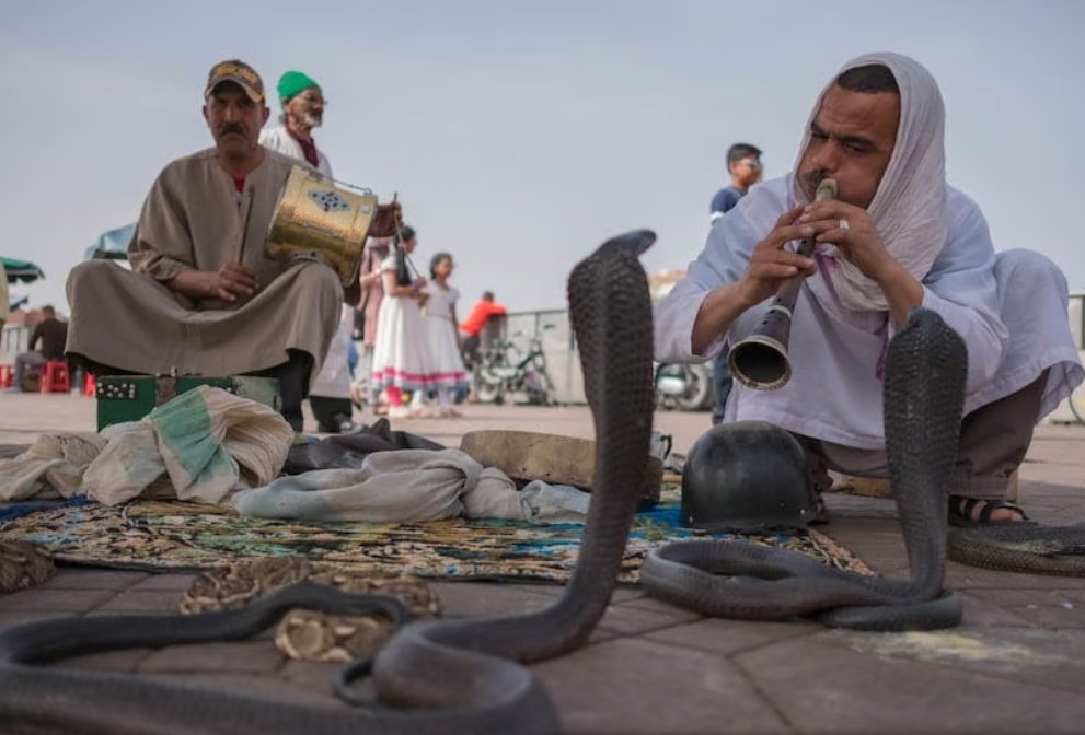 A la découverte de… : Place Jemaa el-Fna