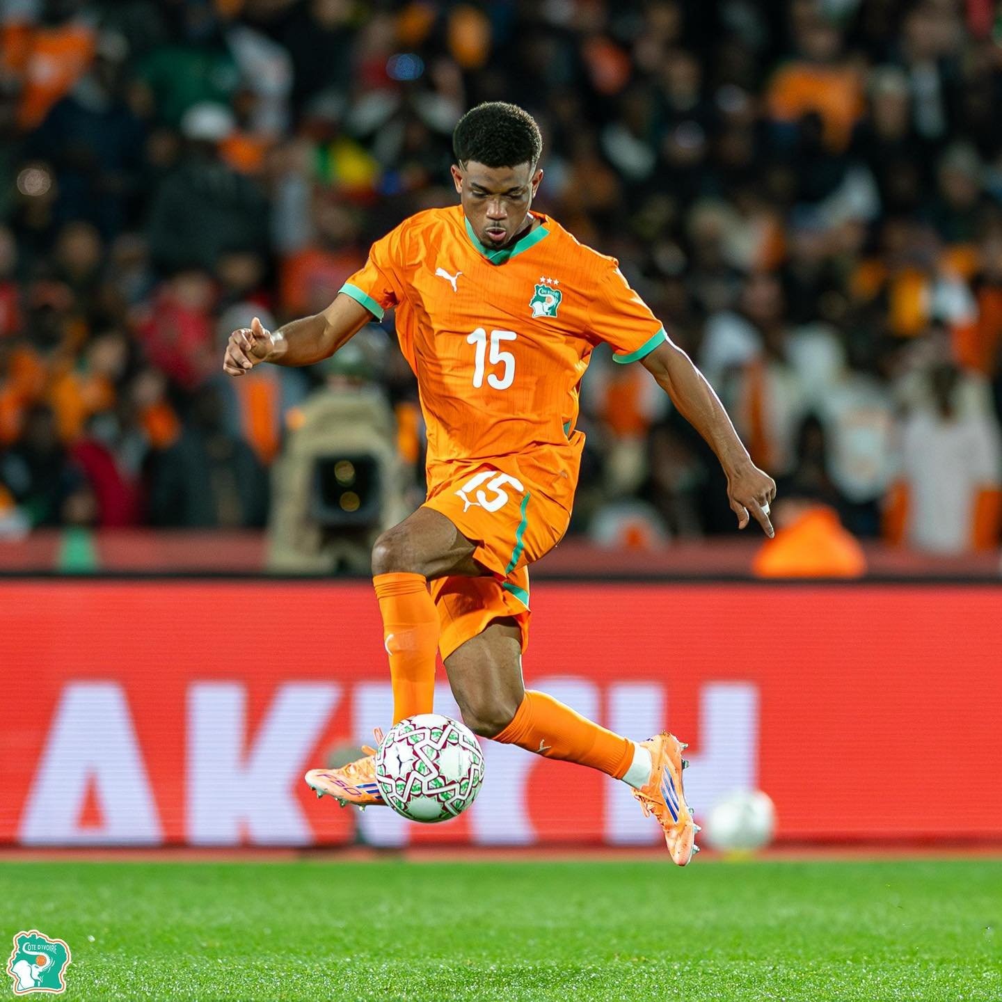 Equipe de Côte d’Ivoire : Ces Éléphants qui crèvent déjà l’écran