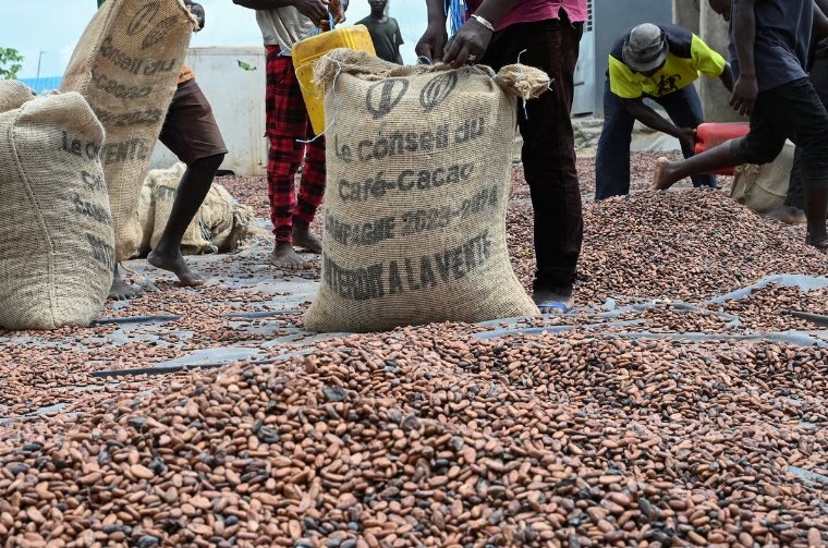 Le moindre mal face à la tempête