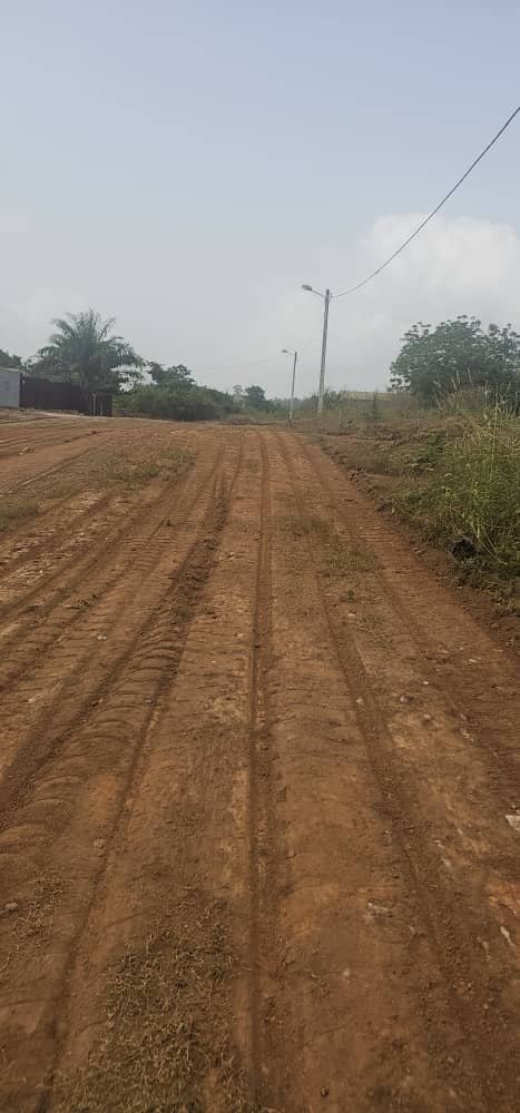 Diégonefla : Les populations reconnaissantes au Président Ouattara pour le reprofilage des routes