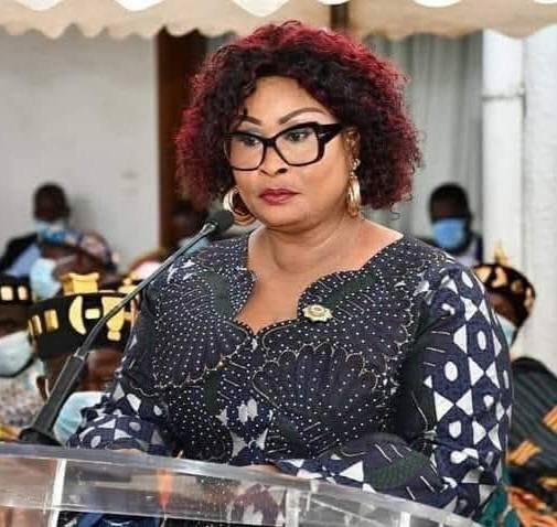 PDCI : Deux députés dénoncent de graves dysfonctionnements après leur retrait du groupe parlementaire