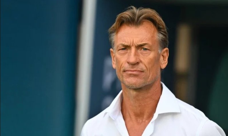 Football : Hervé Renard de retour à la tête des Éléphants