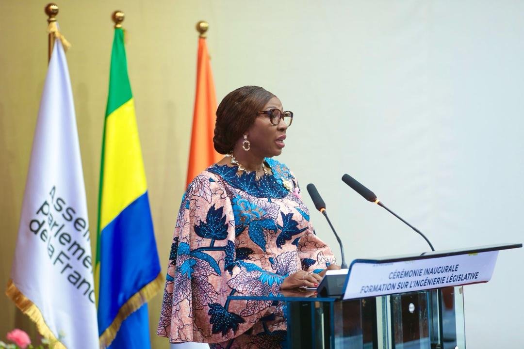 Formation certifiante en Ingénierie législative : Les parlementaires d'Afrique francophone à l'école